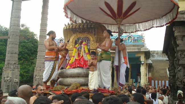 Kanchi Sri Varadaraja Perumal Temple Uriyadi Utsavam  2014--40