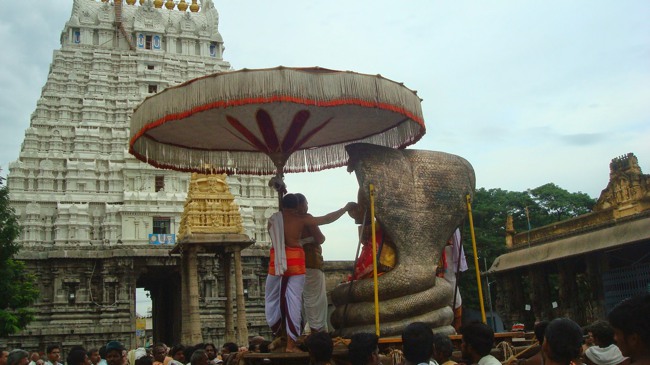 Kanchi Sri Varadaraja Perumal Temple Uriyadi Utsavam  2014--41