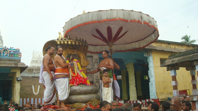Kanchi Sri Varadaraja Perumal Temple Uriyadi Utsavam  2014--42