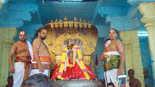Kanchi Sri Varadaraja Perumal Temple Uriyadi Utsavam  2014--43