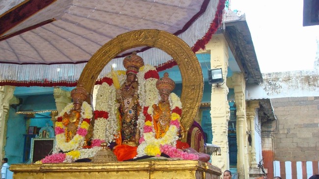 Kanchi Sri Varadaraja Perumal Temple Uriyadi i Utsavam   2014 10