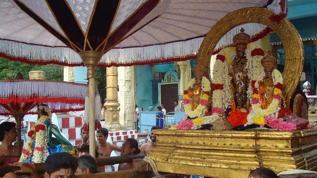 Kanchi Sri Varadaraja Perumal Temple Uriyadi i Utsavam   2014 11