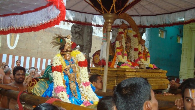 Kanchi Sri Varadaraja Perumal Temple Uriyadi i Utsavam   2014 13