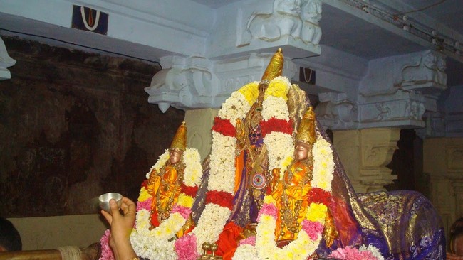Kanchi Sri Varadaraja Perumal Temple Uriyadi i Utsavam   2014 34