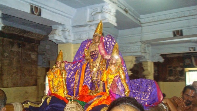 Kanchi Sri Varadharaja Perumal Temple Jaya Purattasi Ekadasi PUrappadu 2014 03