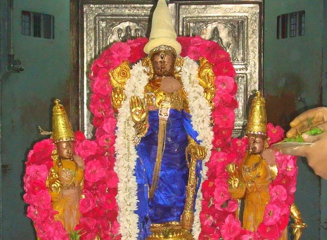 Kanchi Sri Varadharaja Perumal Temple Jaya Purattasi Ekadasi PUrappadu 2014 06