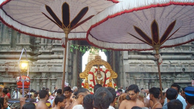 Kanchi Sri Varadharaja Perumal Temple Jaya Purattasi Ekadasi PUrappadu 2014 09