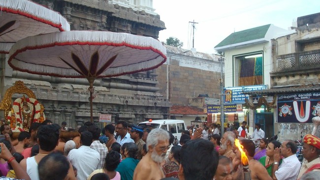 Kanchi Sri Varadharaja Perumal Temple Jaya Purattasi Ekadasi PUrappadu 2014 10