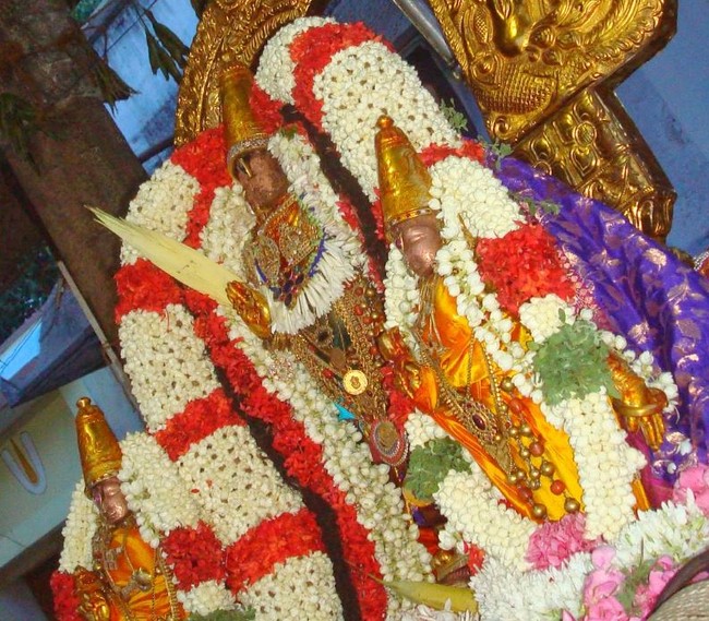 Kanchi Sri Varadharaja Perumal Temple Jaya Purattasi Ekadasi PUrappadu 2014 22