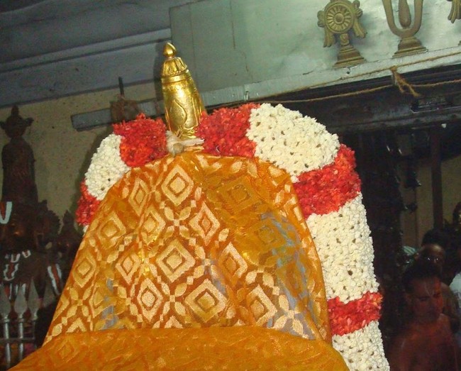 Kanchi Sri Varadharaja Perumal Temple Jaya Purattasi Ekadasi PUrappadu 2014 45
