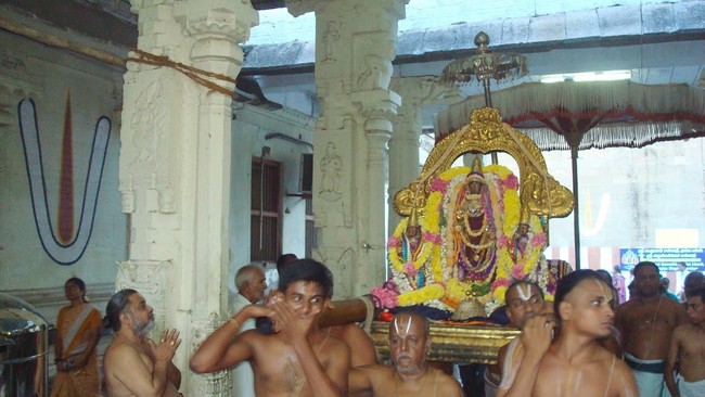 Kanchi Varadaraja Perumal Kovil Pavithrotavam day 52014 06