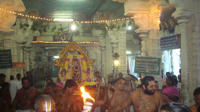 Kanchi Varadaraja Perumal Kovil Pavithrotavam day 52014 08