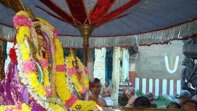 Kanchi Varadaraja Perumal Kovil Pavithrotavam day 52014 11