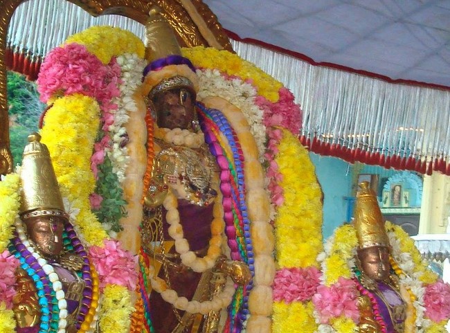 Kanchi Varadaraja Perumal Kovil Pavithrotavam day 52014 12