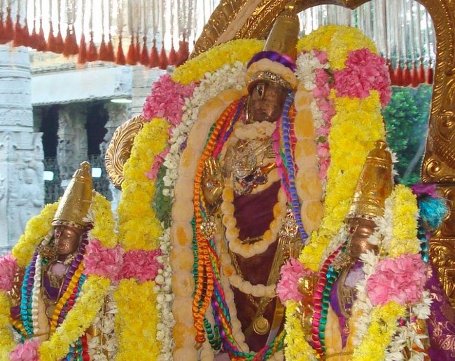 Kanchi Varadaraja Perumal Kovil Pavithrotavam day 52014 14