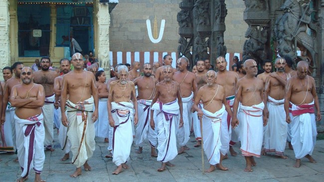 Kanchi Varadaraja Perumal Kovil Pavithrotavam day 52014 16