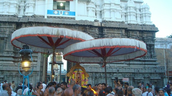 Kanchi Varadaraja Perumal Kovil Pavithrotavam day 52014 19