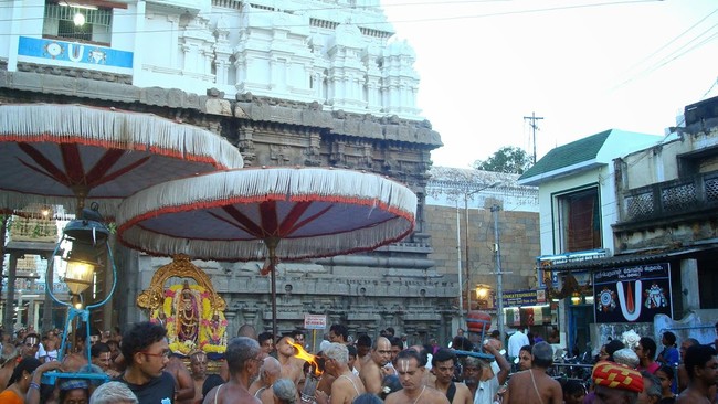 Kanchi Varadaraja Perumal Kovil Pavithrotavam day 52014 20