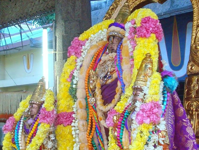 Kanchi Varadaraja Perumal Kovil Pavithrotavam day 52014 26