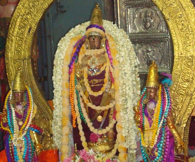 Kanchi Varadaraja Perumal Temple Pavithrotsavanm day 7 2014 02
