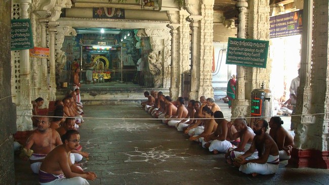 Kanchi Varadaraja Perumal Temple Pavithrotsavanm day 7 2014 03