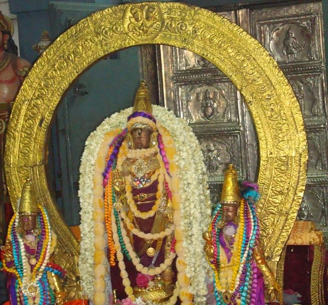 Kanchi Varadaraja Perumal Temple Pavithrotsavanm day 7 2014 04