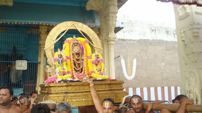 Kanchi Varadaraja Perumal Temple Pavithrotsavanm day 7 2014 05