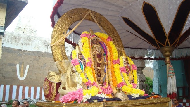 Kanchi Varadaraja Perumal Temple Pavithrotsavanm day 7 2014 07
