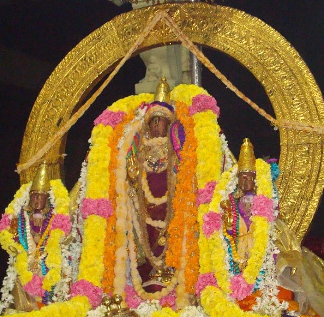 Kanchi Varadaraja Perumal Temple Pavithrotsavanm day 7 2014 15
