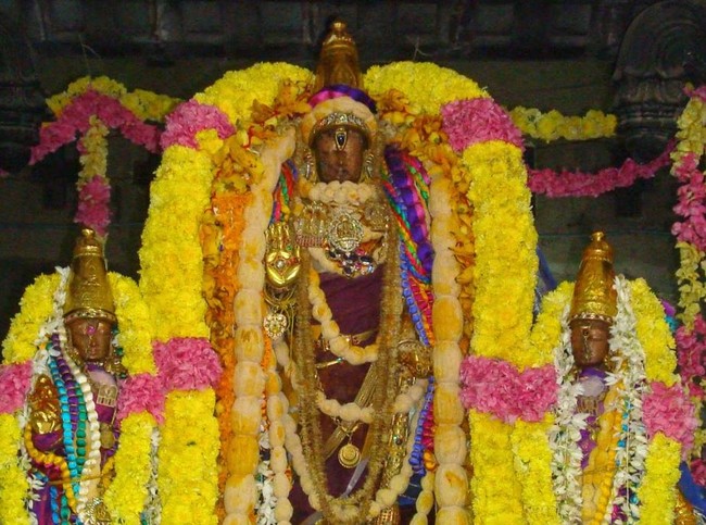 Kanchi Varadaraja Perumal Temple Pavithrotsavanm day 7 2014 18