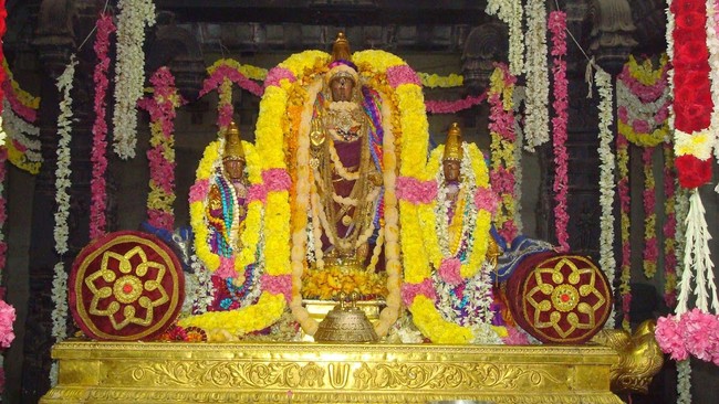 Kanchi Varadaraja Perumal Temple Pavithrotsavanm day 7 2014 19