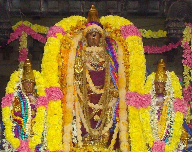 Kanchi Varadaraja Perumal Temple Pavithrotsavanm day 7 2014 20