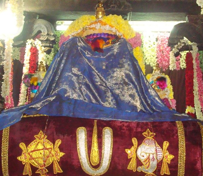 Kanchi Varadaraja Perumal Temple Pavithrotsavanm day 7 2014 21