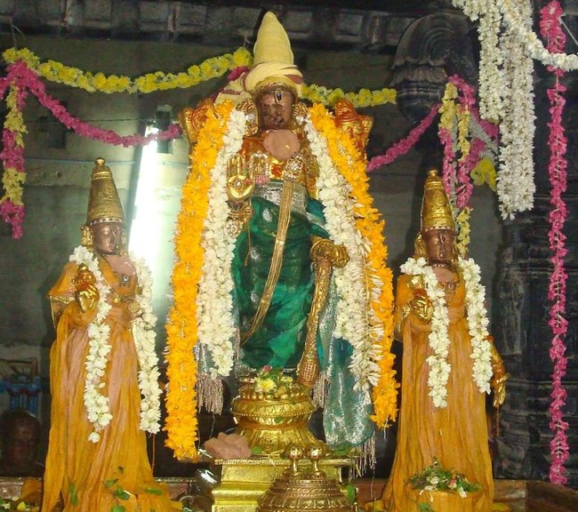 Kanchi Varadaraja Perumal Temple Pavithrotsavanm day 7 2014 22