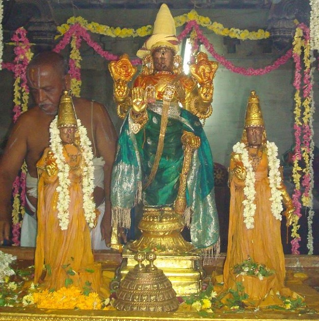 Kanchi Varadaraja Perumal Temple Pavithrotsavanm day 7 2014 23