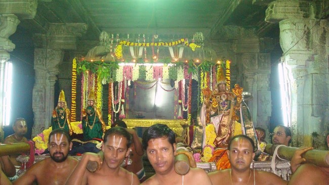 Kanchi Varadaraja Perumal Temple Pavithrotsavanm day 7 2014 24