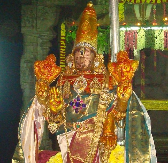 Kanchi Varadaraja Perumal Temple Pavithrotsavanm day 7 2014 25