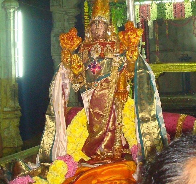 Kanchi Varadaraja Perumal Temple Pavithrotsavanm day 7 2014 26