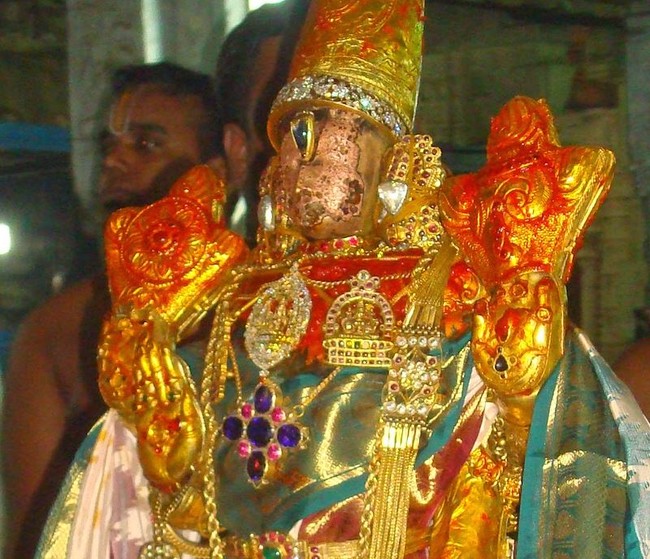 Kanchi Varadaraja Perumal Temple Pavithrotsavanm day 7 2014 28