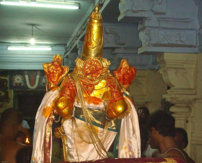 Kanchi Varadaraja Perumal Temple Pavithrotsavanm day 7 2014 33