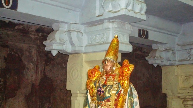 Kanchi Varadaraja Perumal Temple Pavithrotsavanm day 7 2014 34
