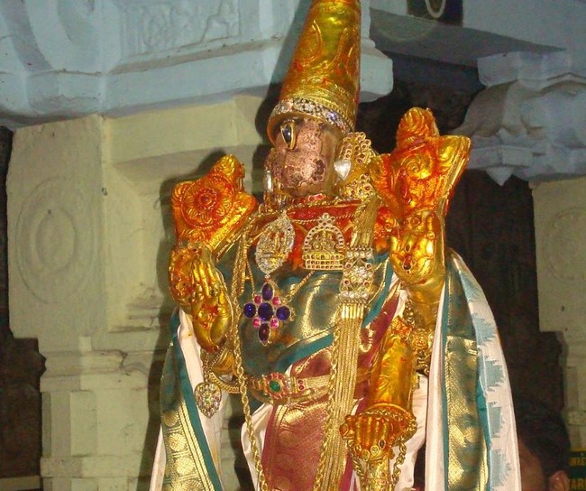 Kanchi Varadaraja Perumal Temple Pavithrotsavanm day 7 2014 35