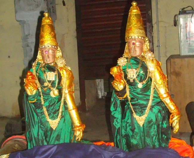 Kanchi Varadaraja Perumal Temple Pavithrotsavanm day 7 2014 38