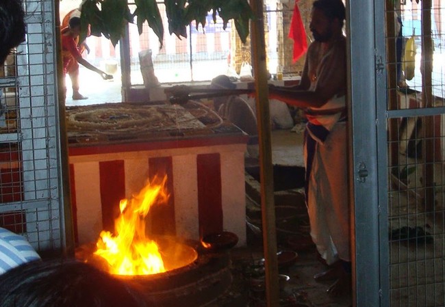 Kanchi varadaraja Perumal Kovil Pavithrotsavam day 2 Morning 2014  02