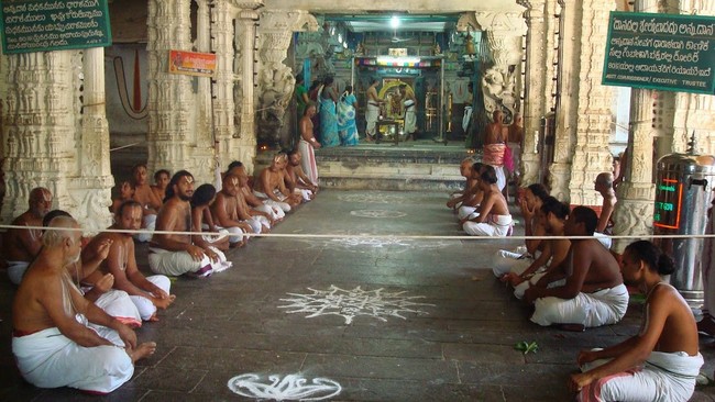 Kanchi varadaraja Perumal Kovil Pavithrotsavam day 2 Morning 2014  13