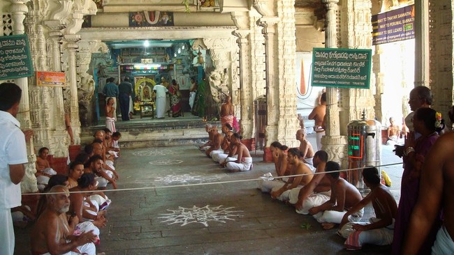 Kanchi varadaraja Perumal Kovil Pavithrotsavam day 2 Morning 2014  14