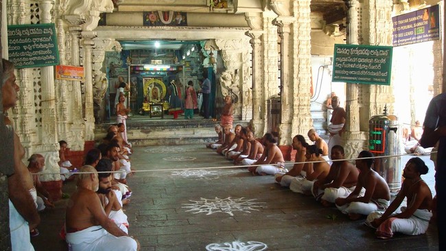 Kanchi varadaraja Perumal Kovil Pavithrotsavam day 2 Morning 2014  15