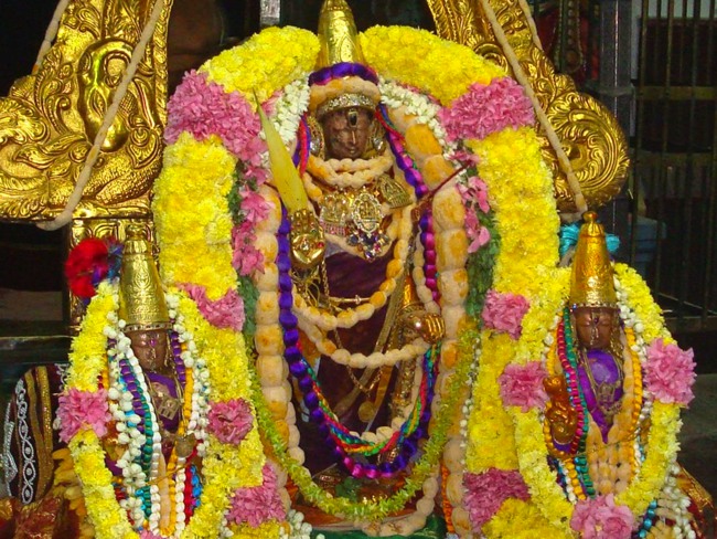 Kanchipuram Sri Varadaraja Perumal Temple Pavithrotsavam day 1 2014--03