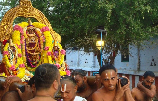 Kanchipuram Sri Varadaraja Perumal Temple Pavithrotsavam day 1 2014--04