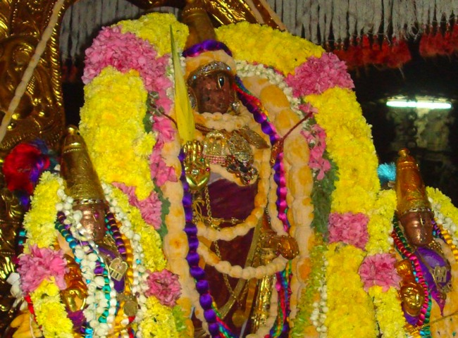 Kanchipuram Sri Varadaraja Perumal Temple Pavithrotsavam day 1 2014--12